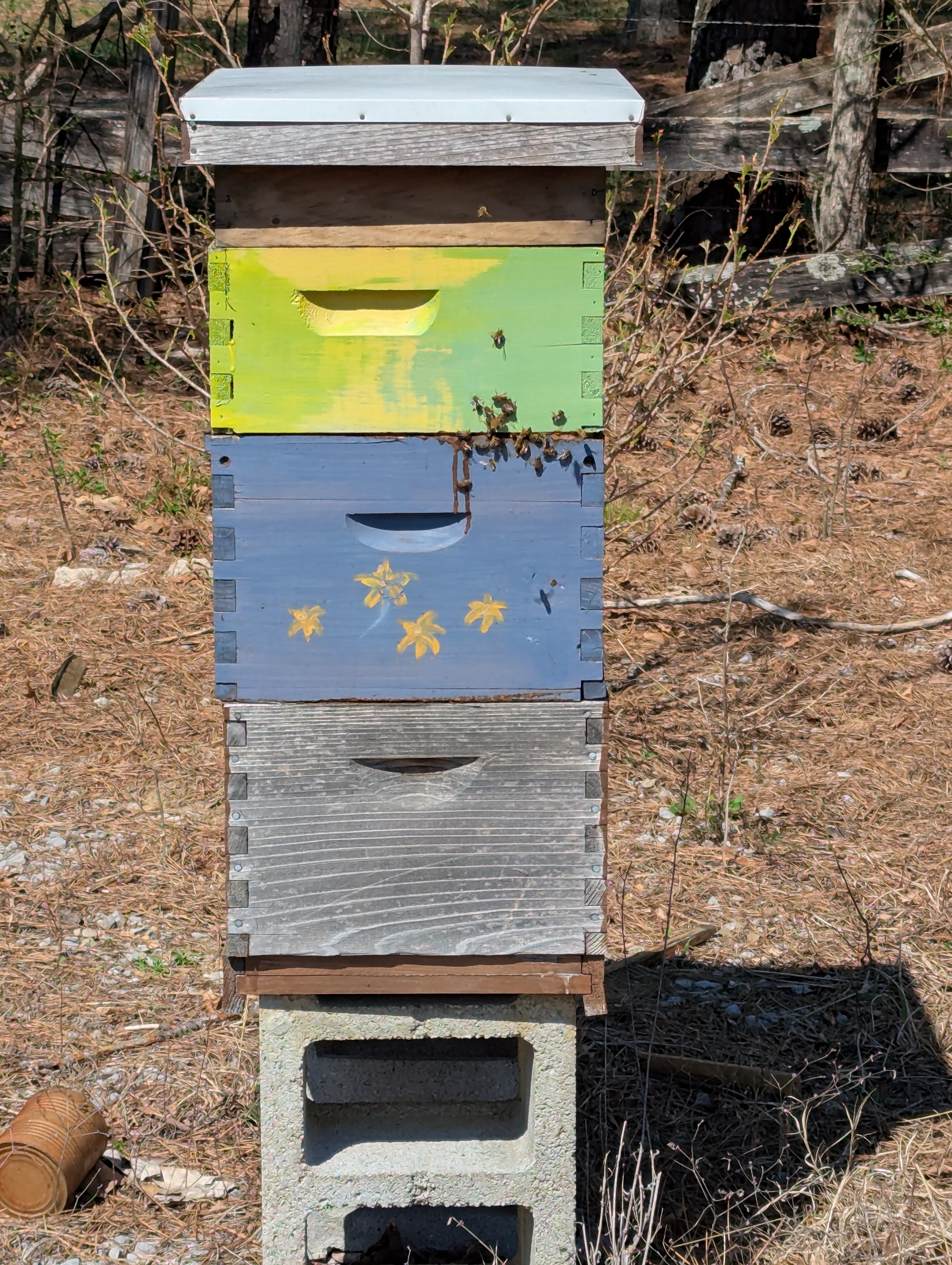 Bees Make Honey