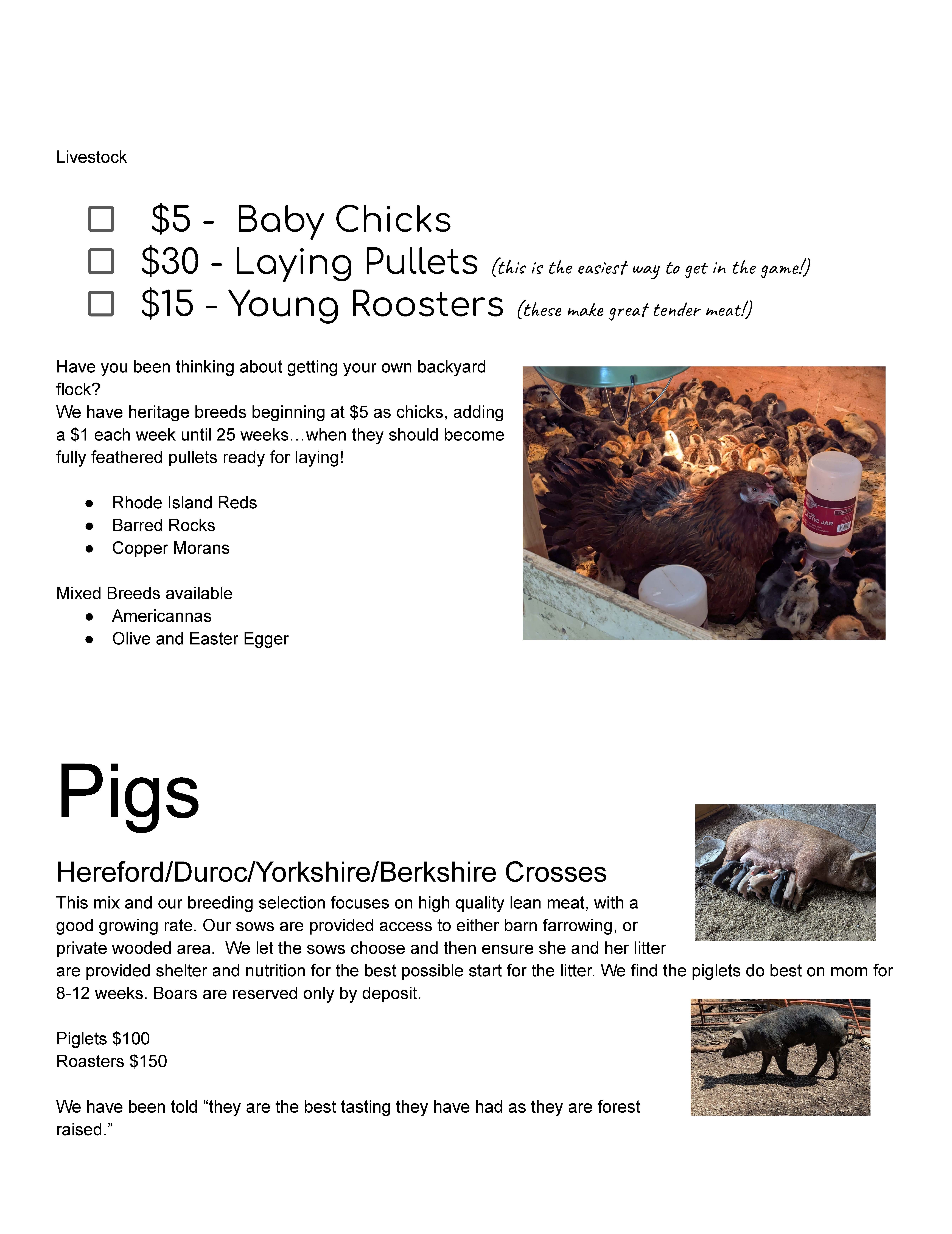 livestock Sale